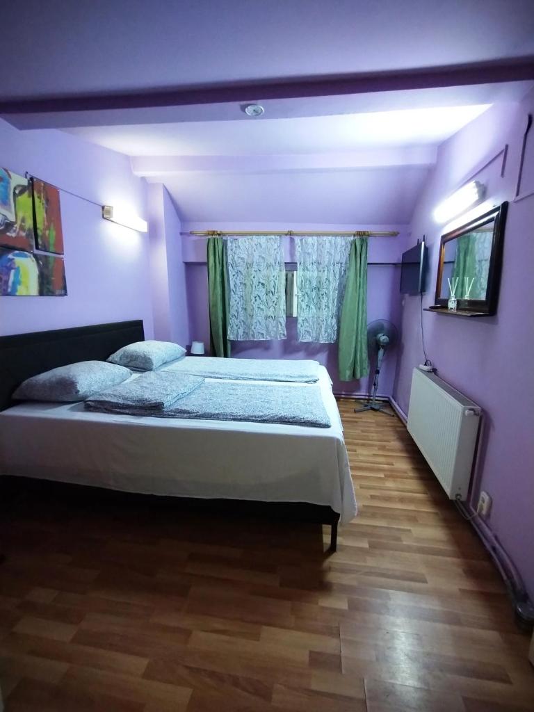 Hostel Pascalis Alesd photo 3