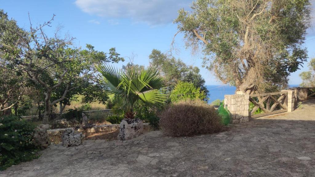 Casa Borea photo 3