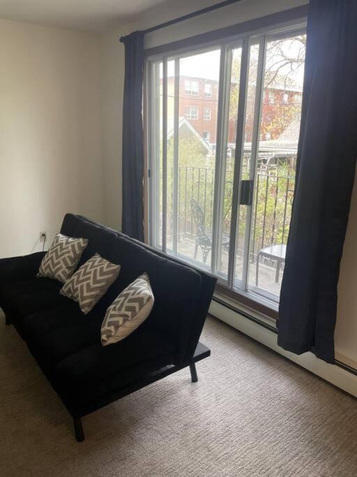 Stunning 1 Bedroom Apartment photo 3