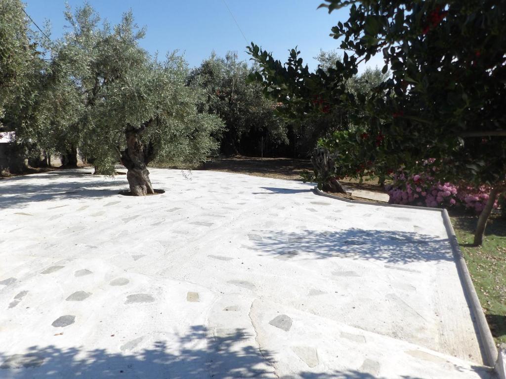 Villa Marina, Βίλλα Μαρίνα photo 4