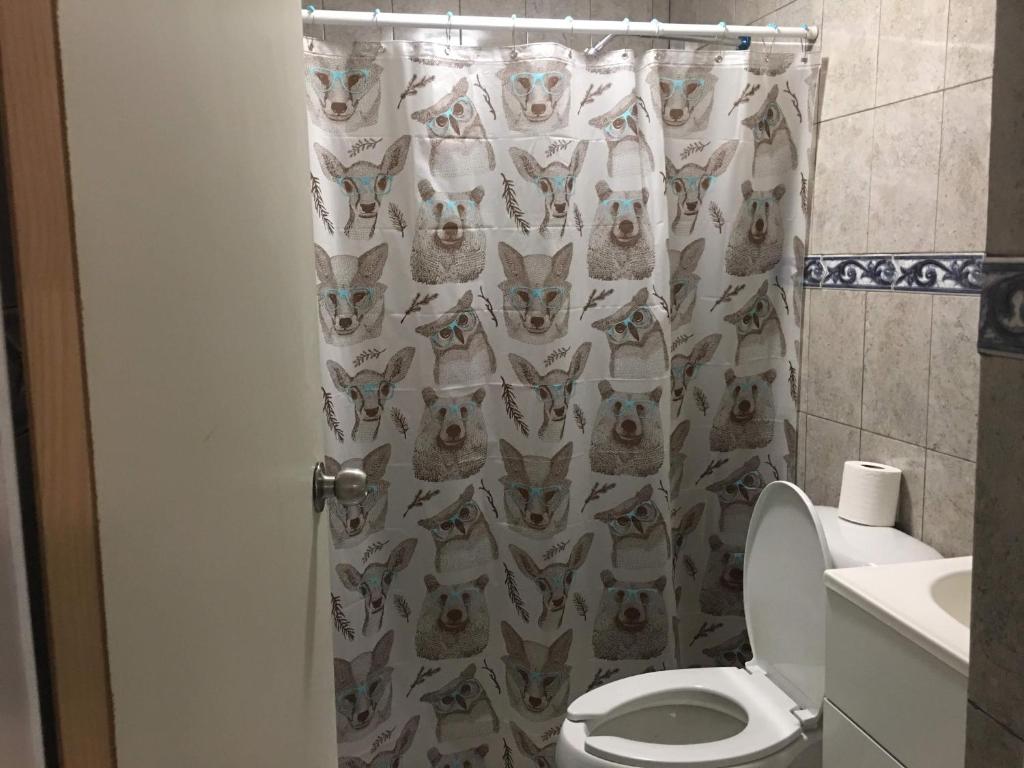 Lindo departamento con 2 cuartos y excelente ubicacion. photo 2