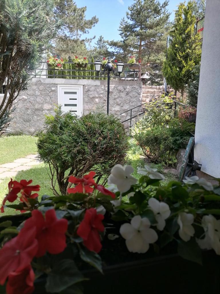 Villa Bozovic photo 3