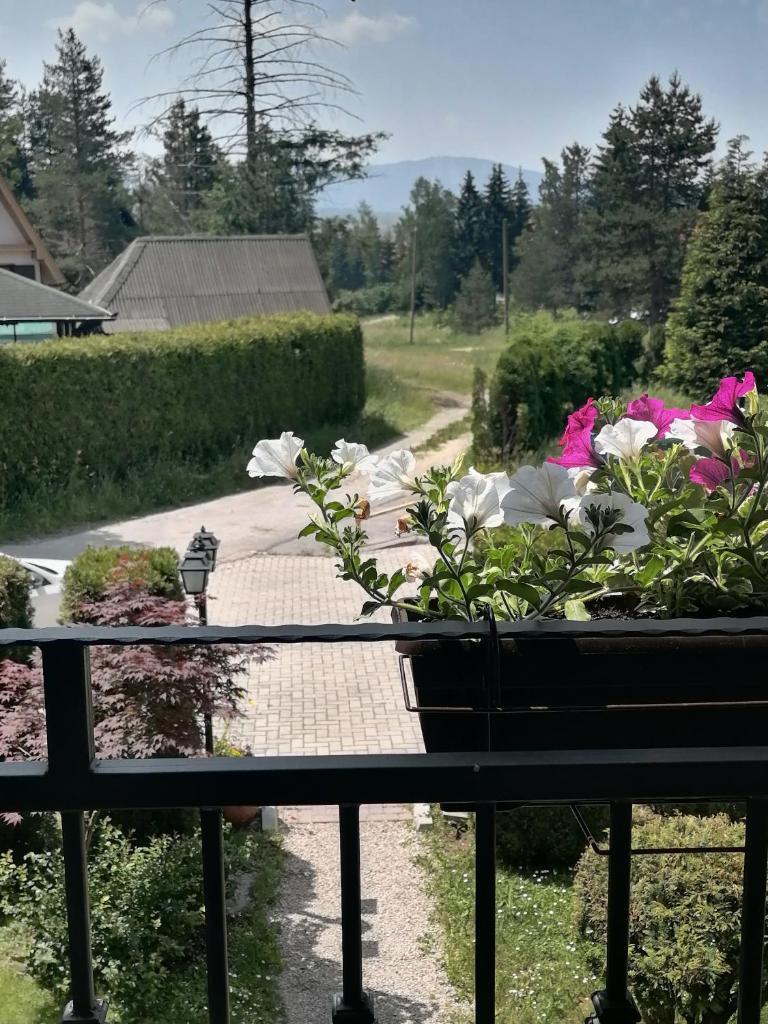 Villa Bozovic photo 2