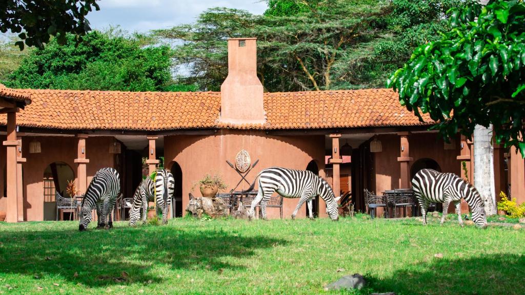 Chara Africa Hotel photo 1