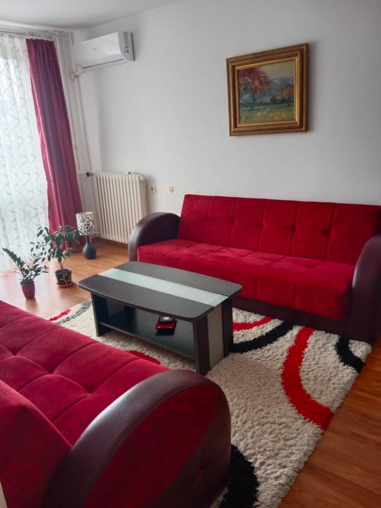 Apartman Dragana photo 3