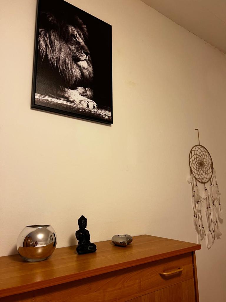 Euphoria apartment photo 1