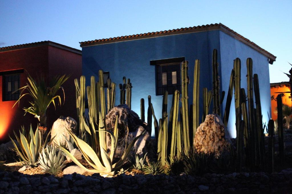 El Macehual photo 3