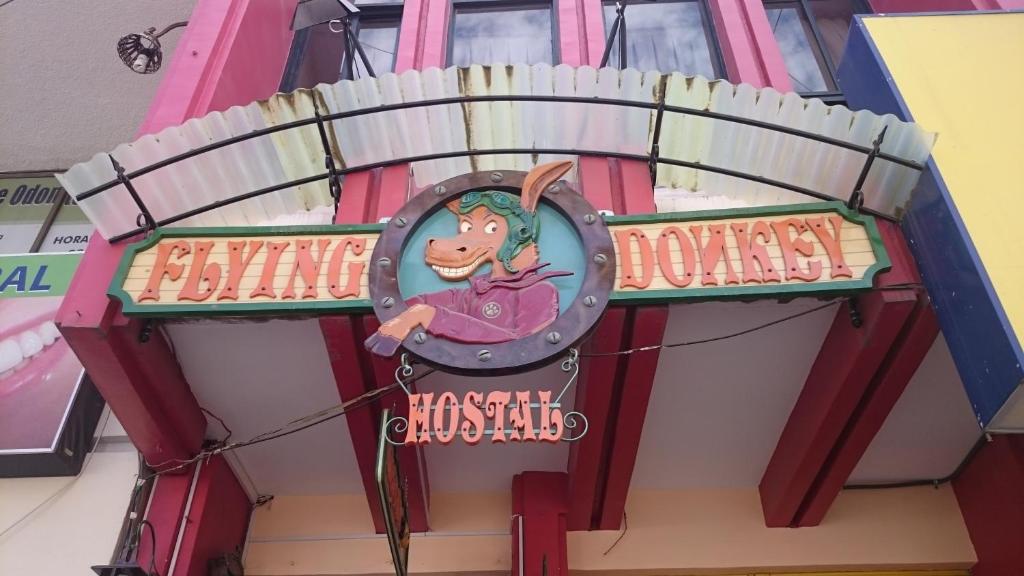 Flying Donkey photo 1