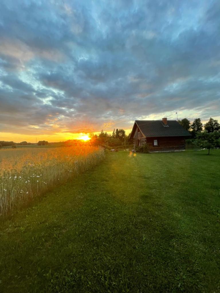 Gintaro pirtelė photo 4