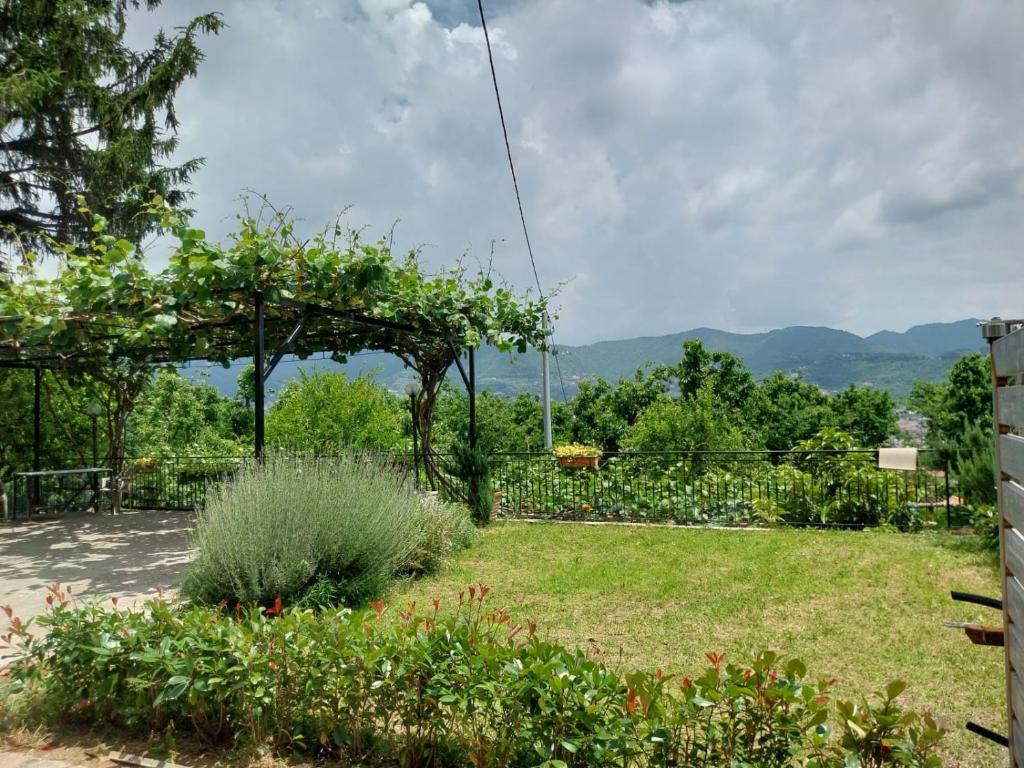 Lanovella photo 3