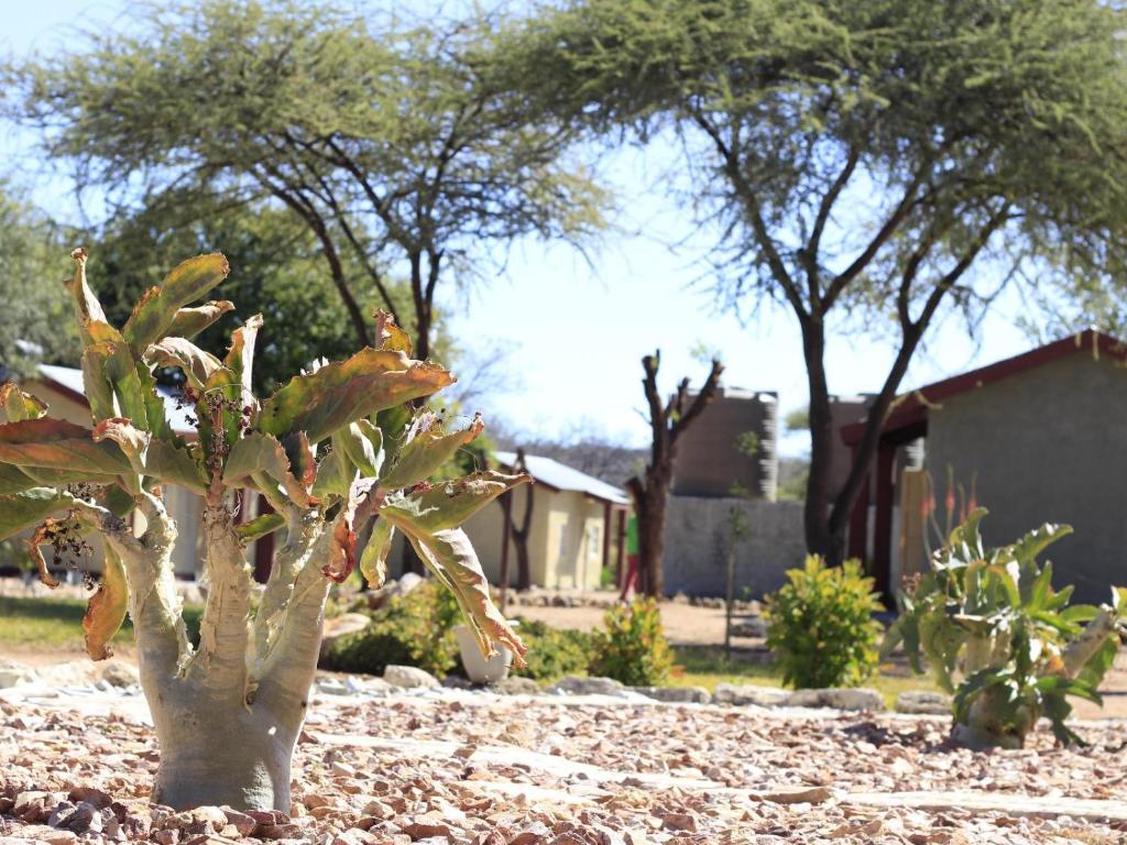 Abenab Lodge & Tours cc photo 3