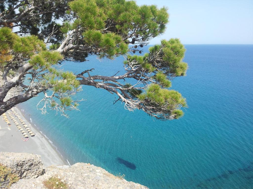 Stefanos Apartments photo 2