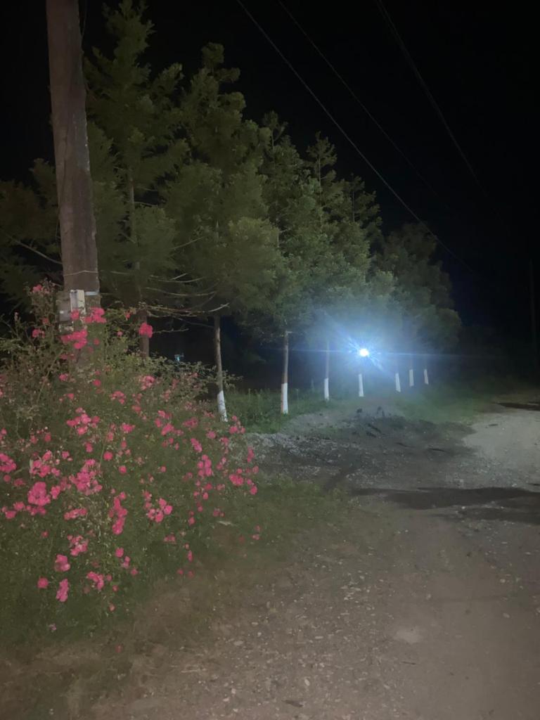 Buknari photo 2