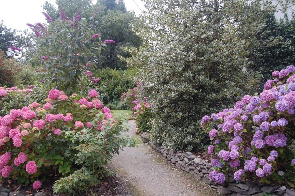 Beaufort Lodge B&B & Cottage photo 2