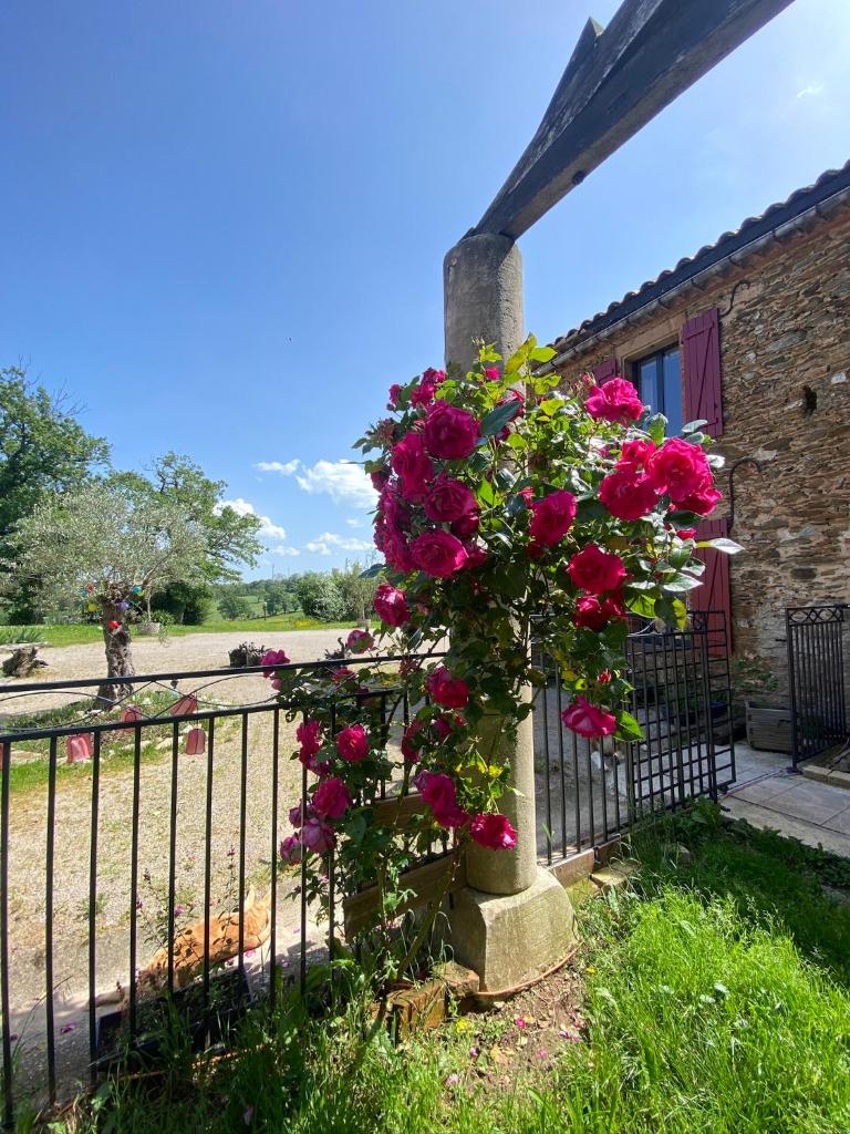 Gîte l'Ancienne Forge - La Bouriote photo 2