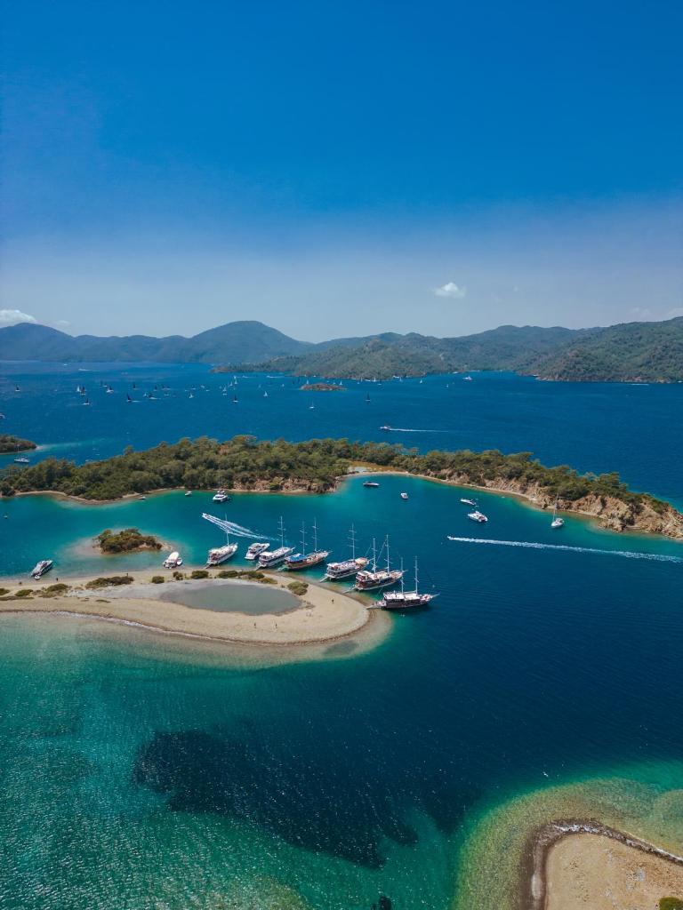 Rixos Premium Göcek - Adult Only photo 4