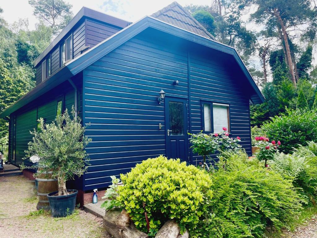 Blue Artist chalet Veluwe photo 2
