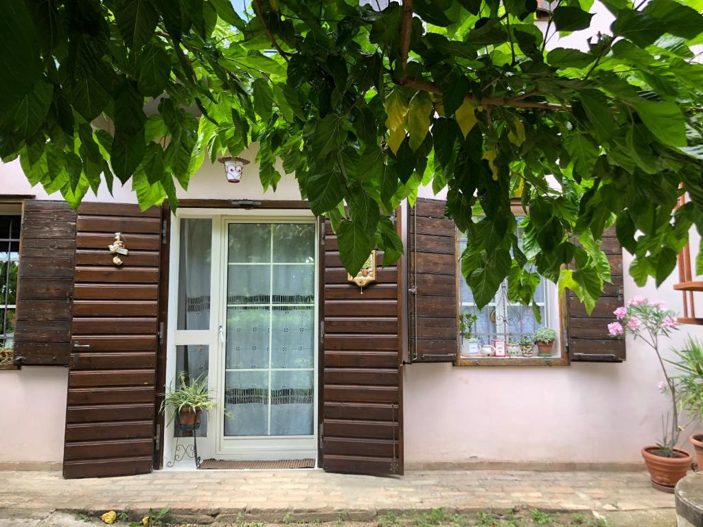 La casa nel bosco photo 3