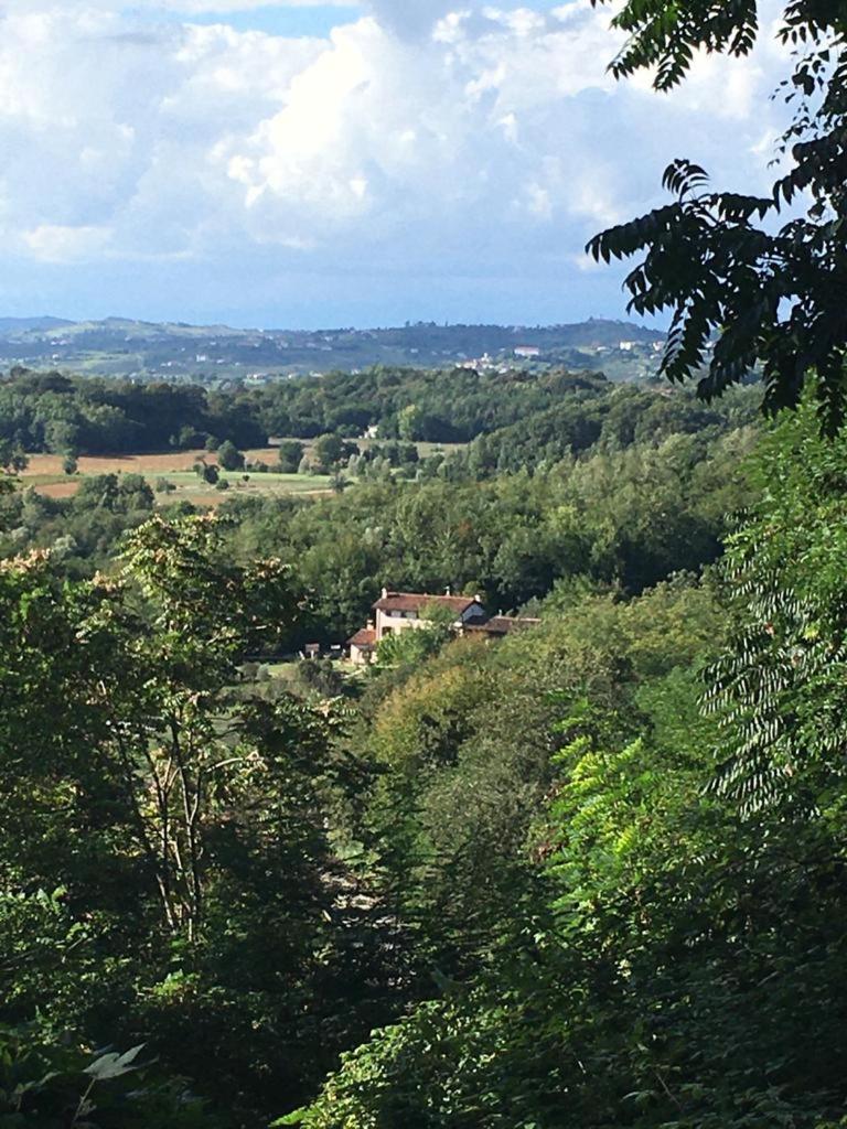 La casa nel bosco photo 1