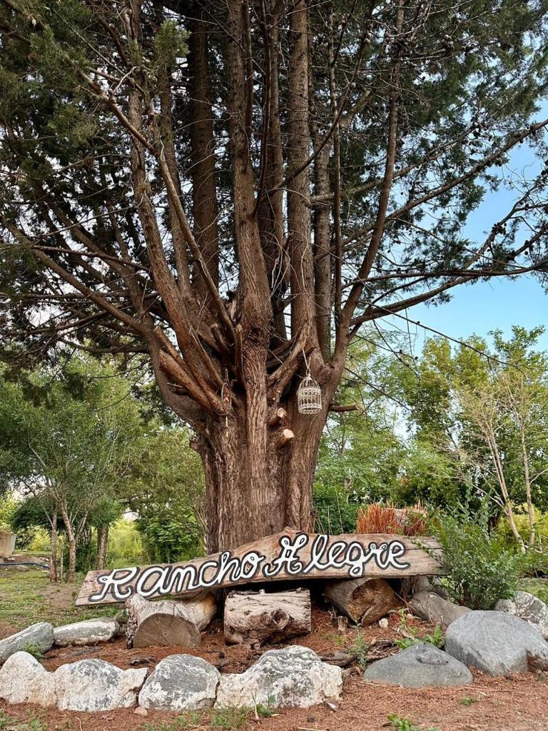 La higuera photo 1