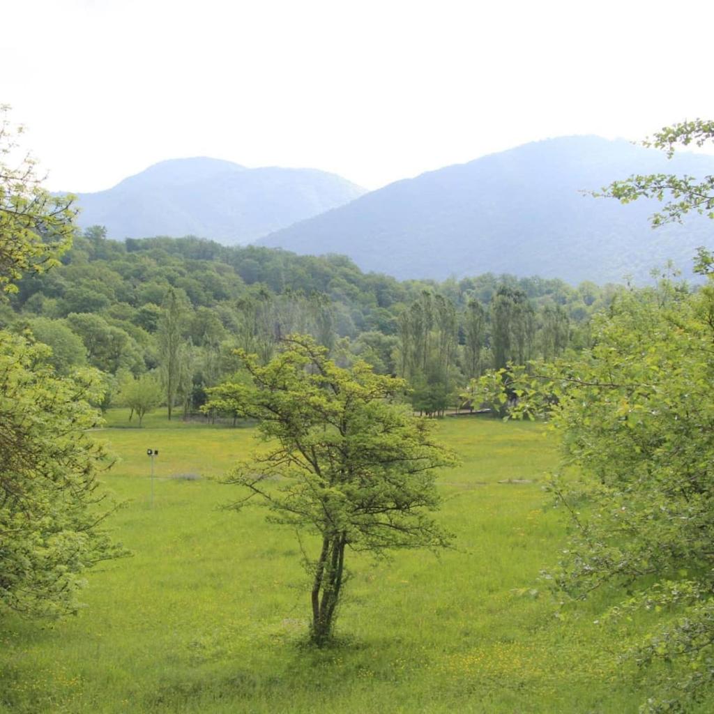 Grand Village photo 3