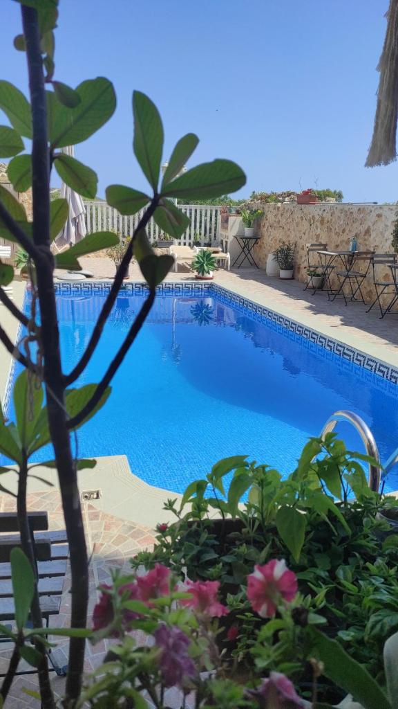 Gizimina B&B by VeroSole photo 1