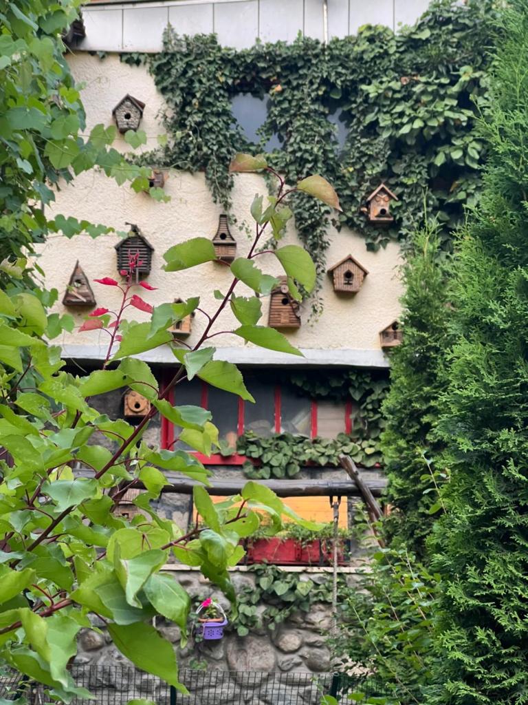 ARTSIV Guesthouse photo 4