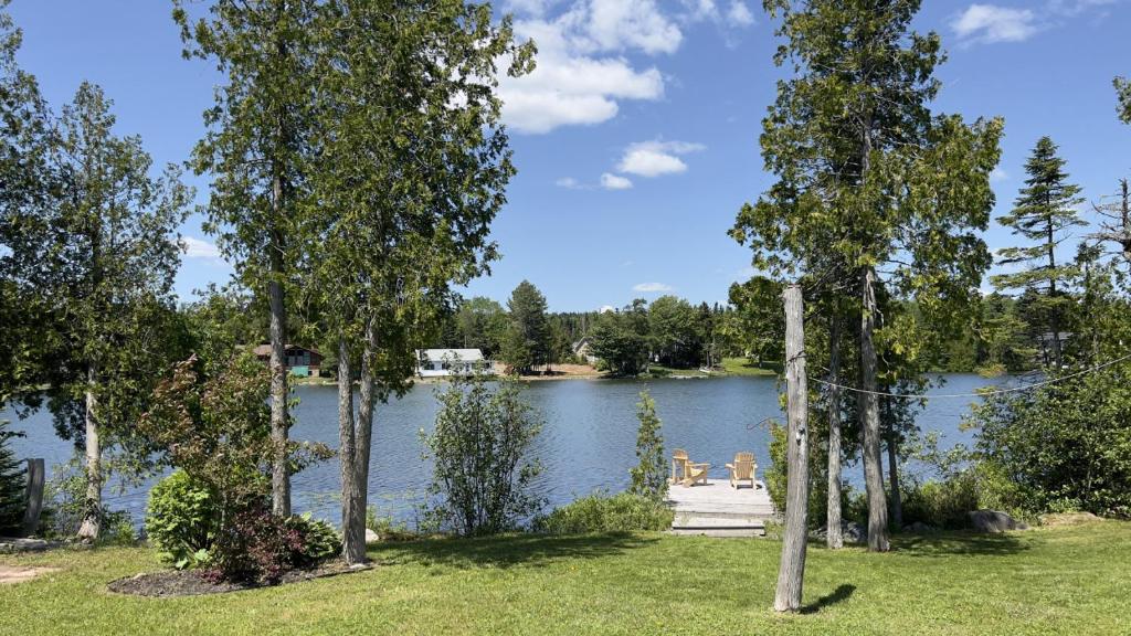 Douglas Lake Paradise B photo 1