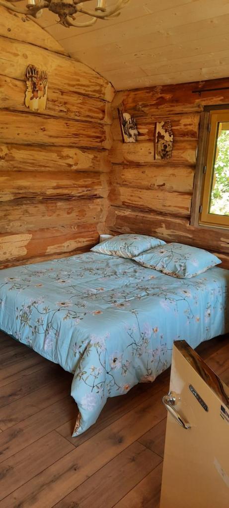 Chalet du trappeur photo 4