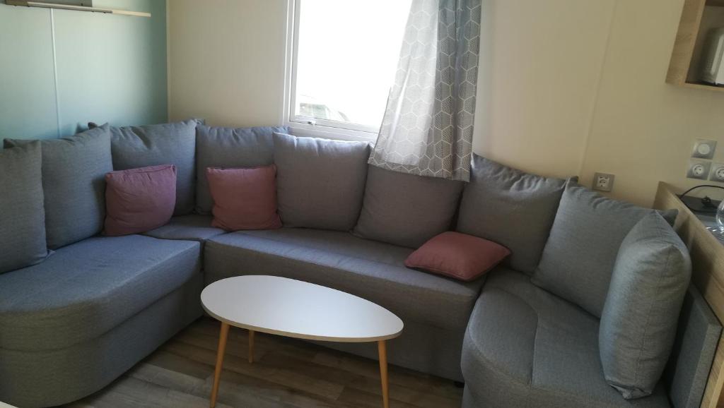 Superbe Mobil home 3 chambres F51 photo 3