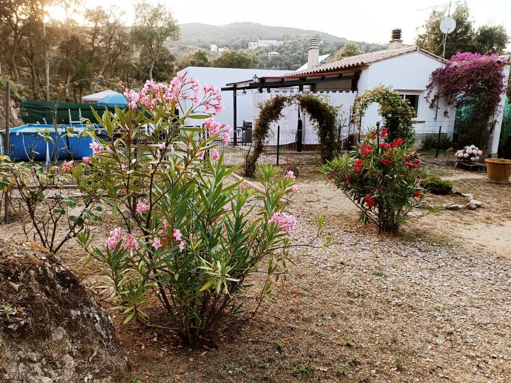 Chalet en entorno Natural de la Costa Brava photo 3