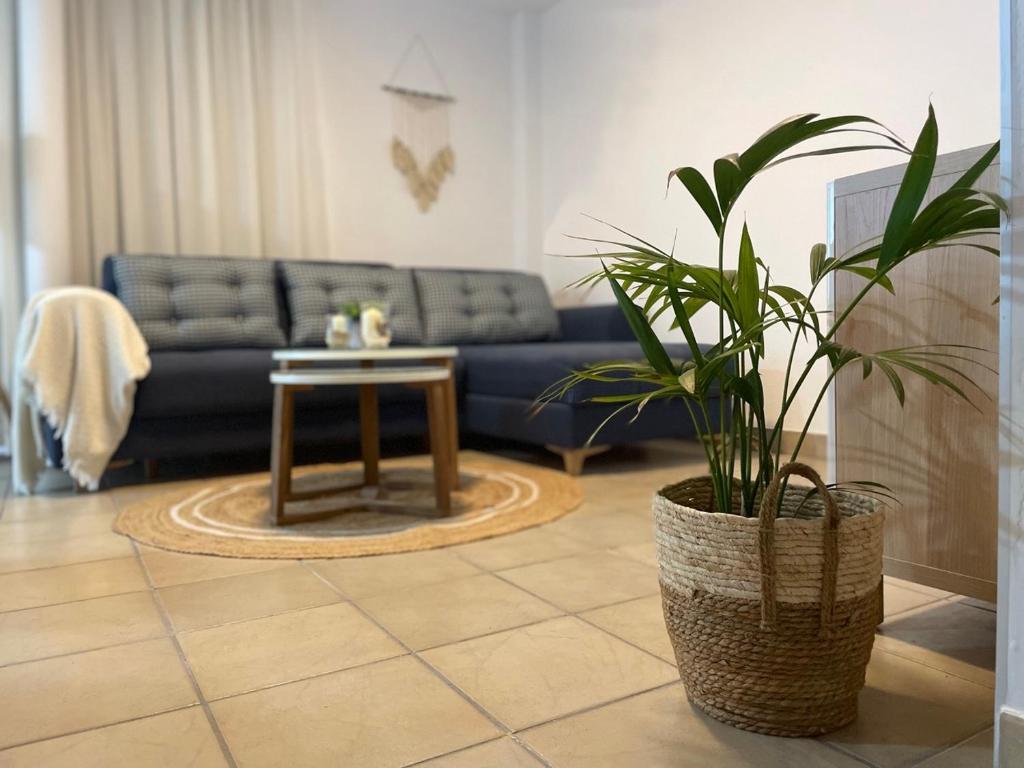 Apartamento Kai photo 1