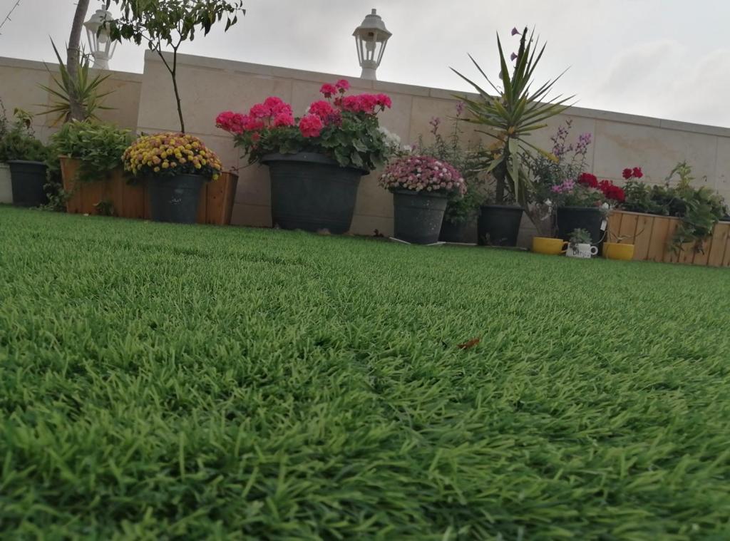Tamimi Home photo 4