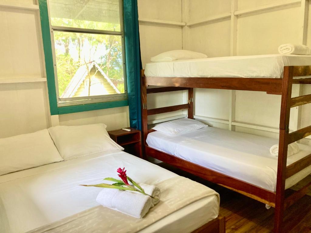Drago Beach House - Private Beach photo 2