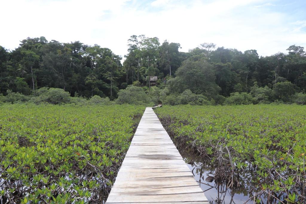 Konsenda Bocas del Toro photo 2