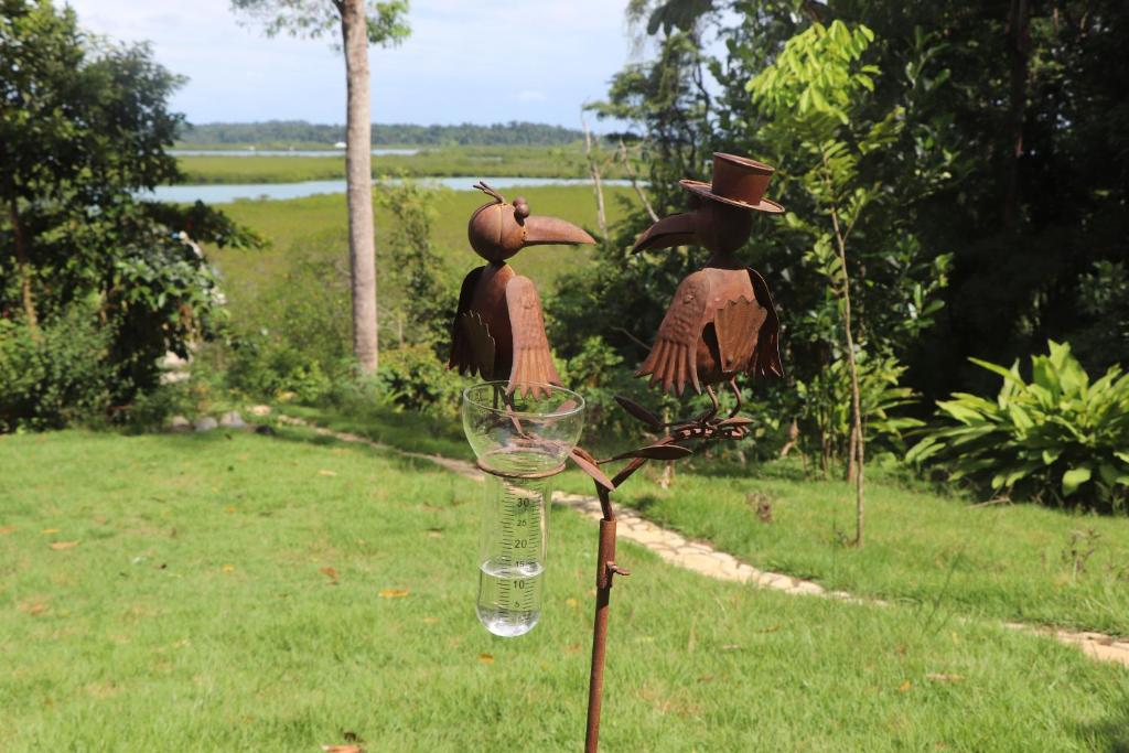 Konsenda Bocas del Toro photo 3