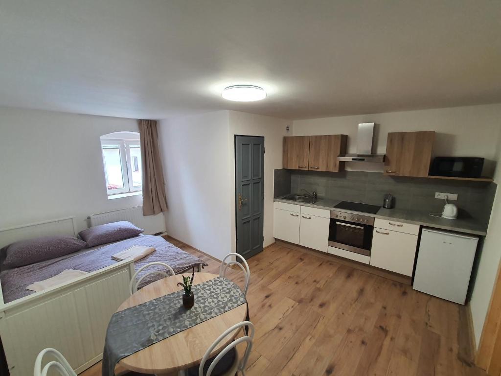 Apartmány ČERNÝ KOHOUT photo 3