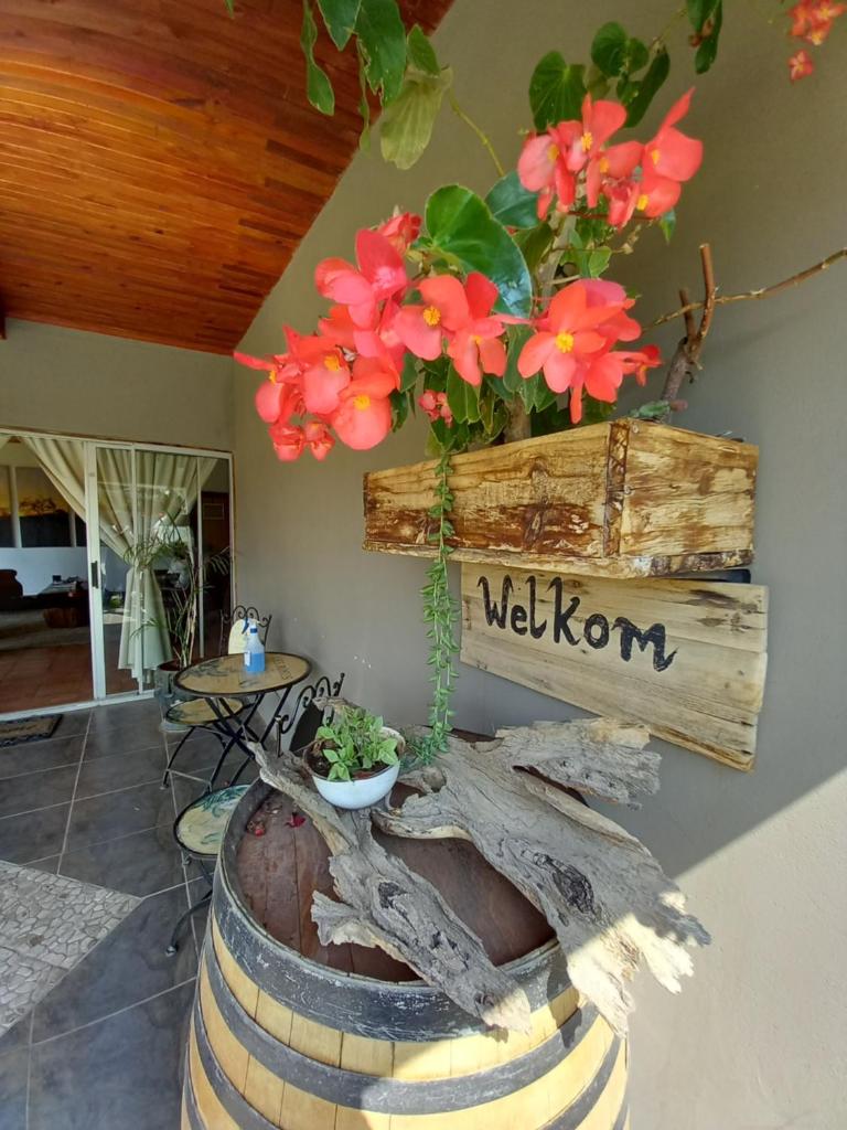 Die Windpomp Guesthouse photo 1