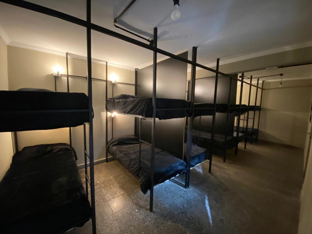 Urban Jungle Hostel photo 2
