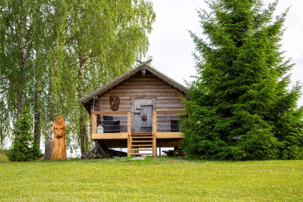 Uhtjärve Ürgoru Nõiariik photo 4