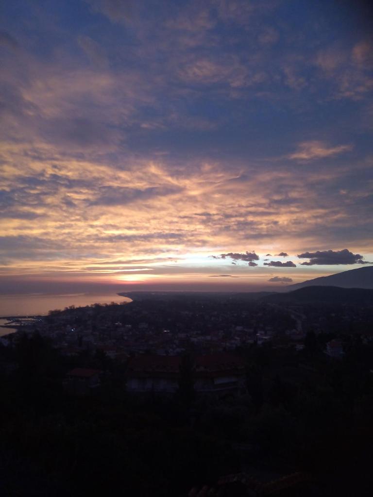 Villa Nestor photo 1