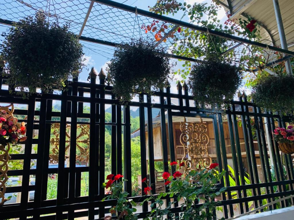 Pết house Mộc Châu