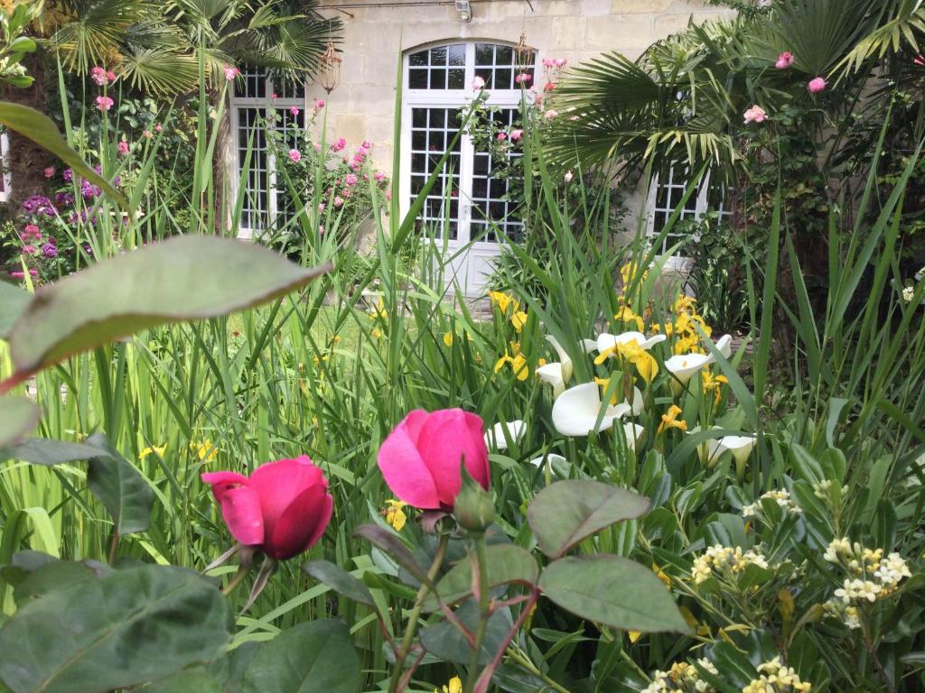 L’orangerie du Général photo 3