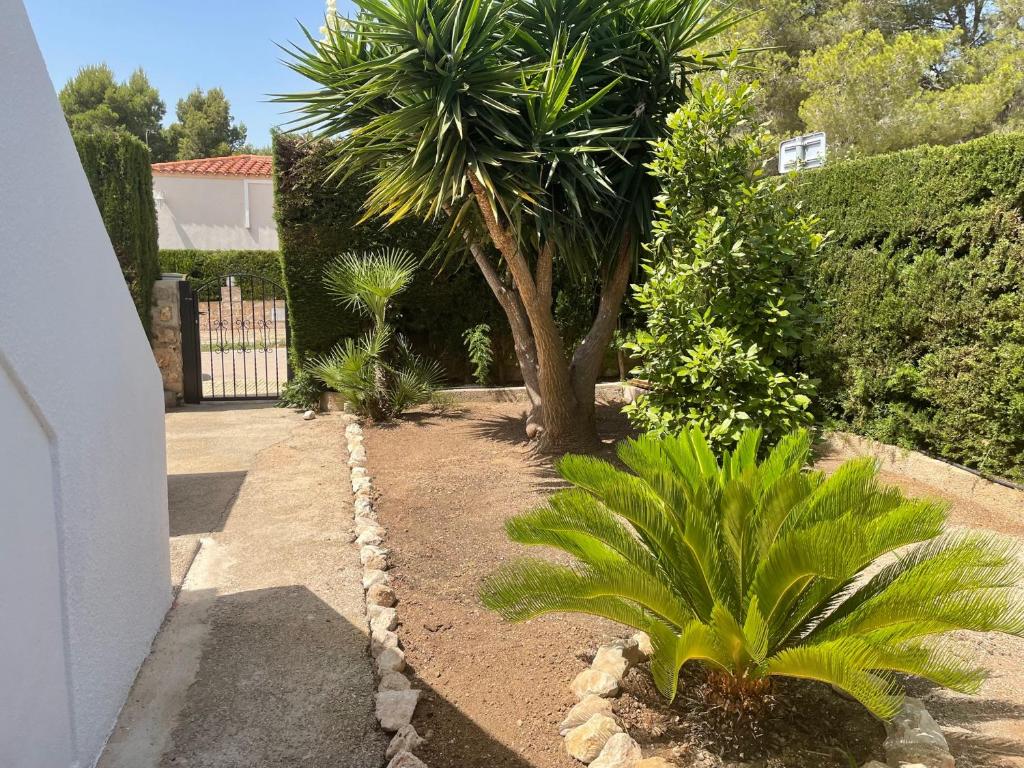 VILLA MARIBEL photo 1