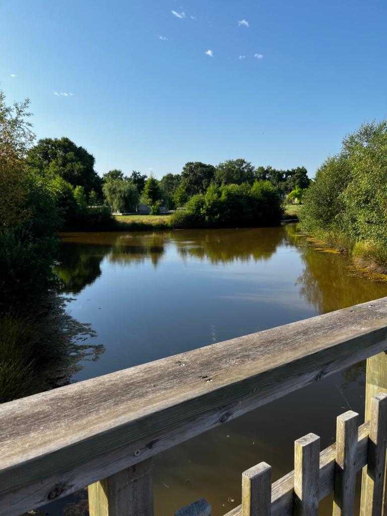 Le Nid du Teich
