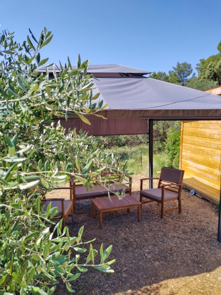 Robinson accommodation and camping spots "Maslina"- cove Skozanje, island Hvar photo 4