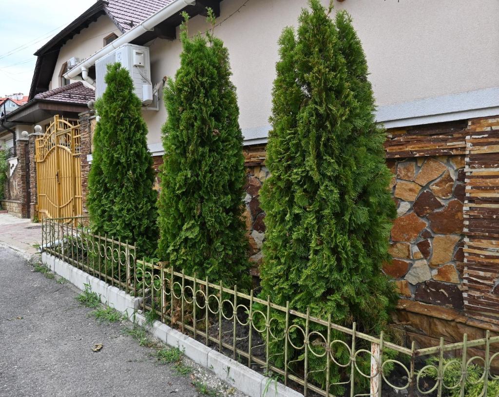 Bright and cozy home with personal terrace photo 1