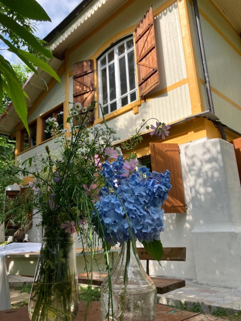 Casa del Castagno: un nido nel castagneto photo 1