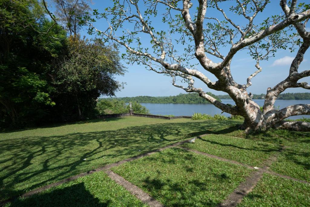 Lunuganga Estate photo 3