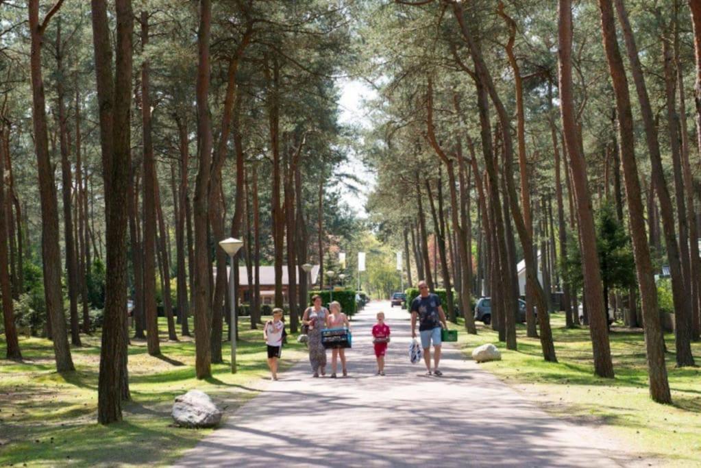 Chalet op de Veluwe photo 2